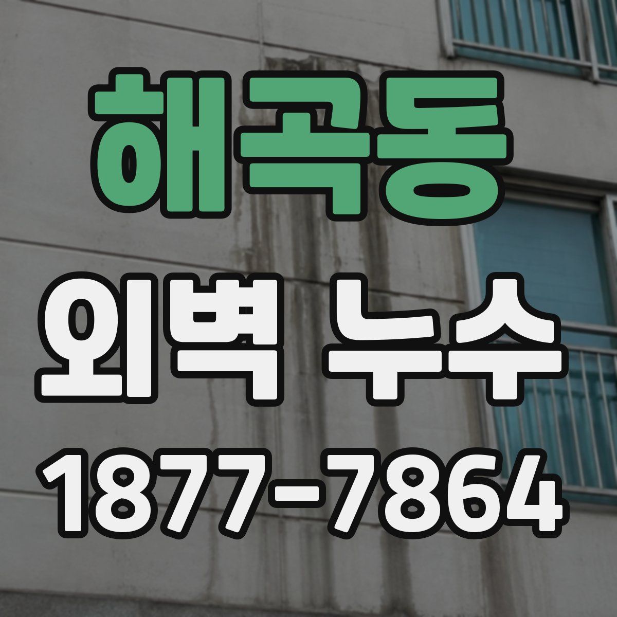 해곡동 외벽 누수