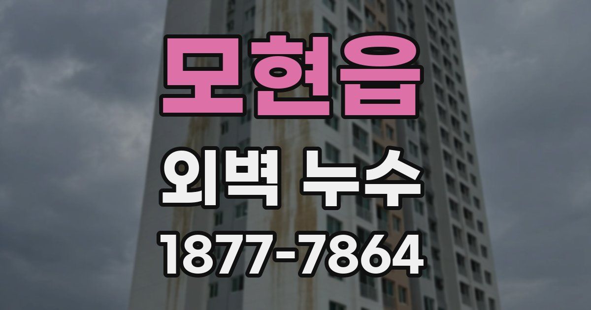 모현읍 외벽 누수