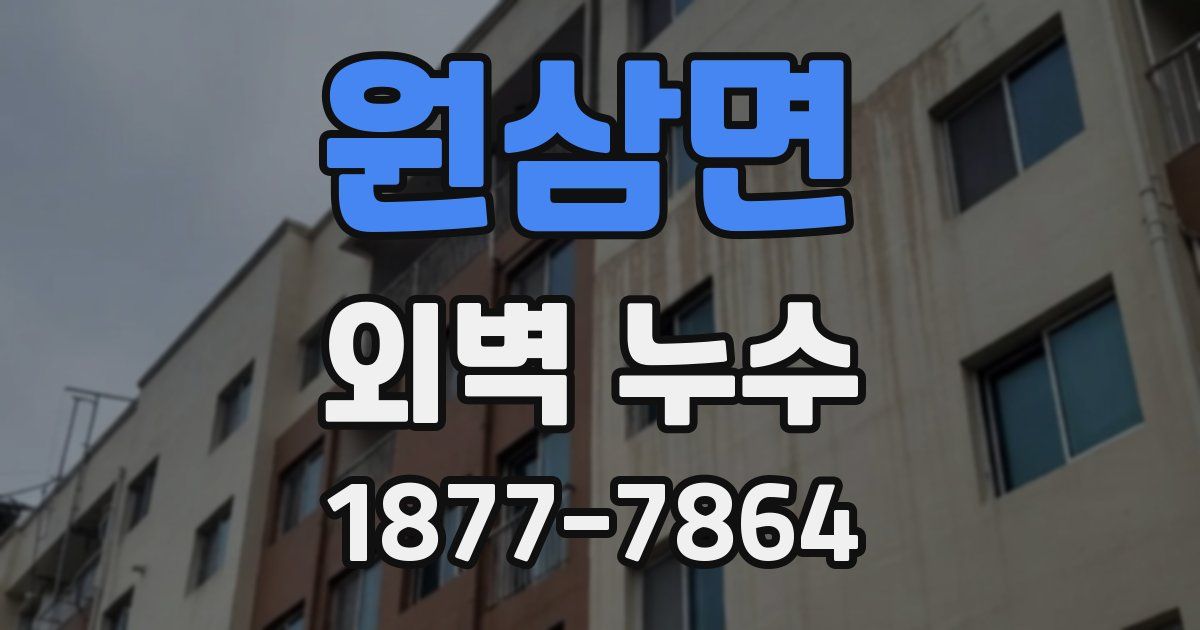 원삼면 외벽 누수