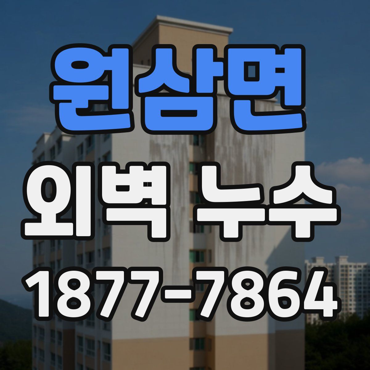 원삼면 외벽 누수
