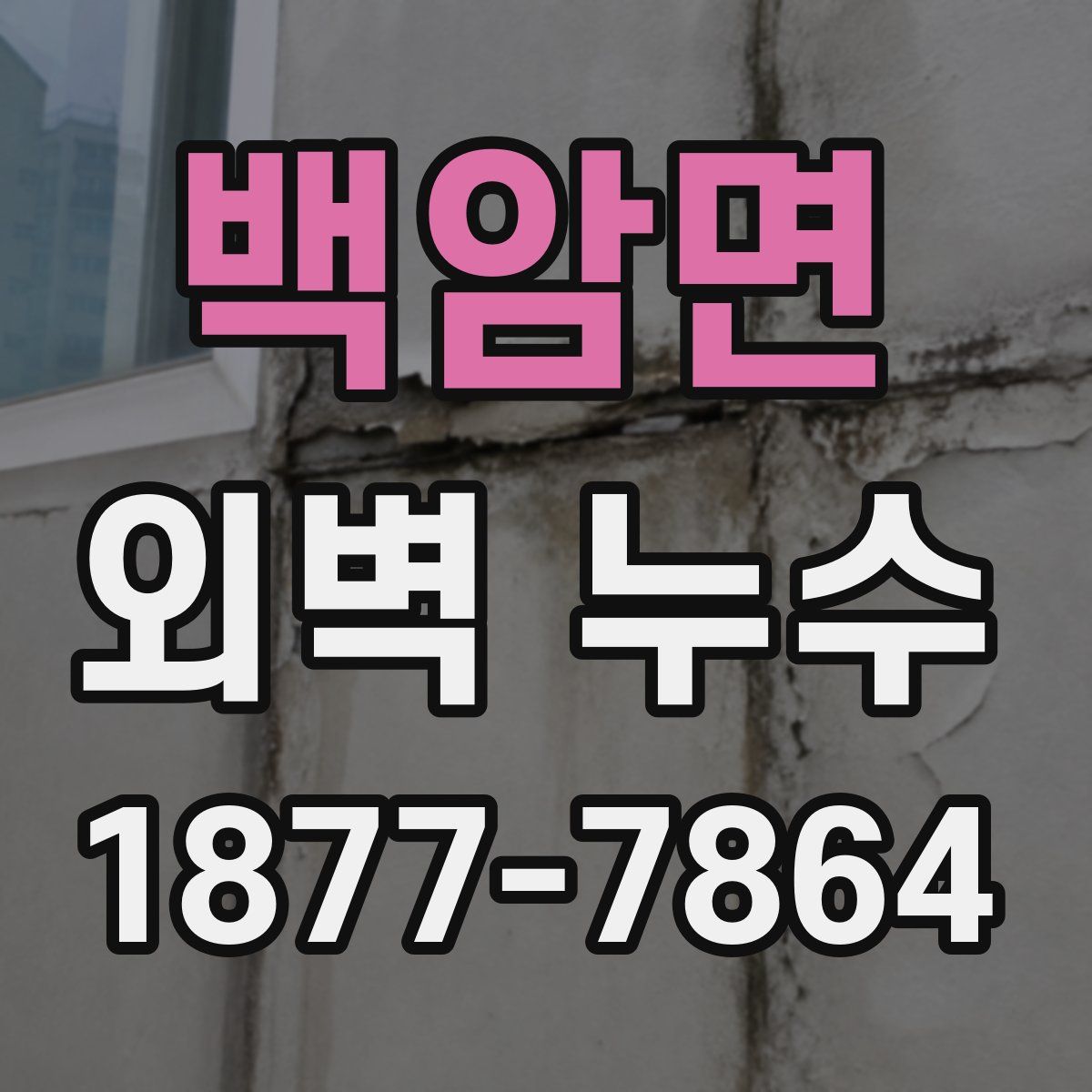 백암면 외벽 누수