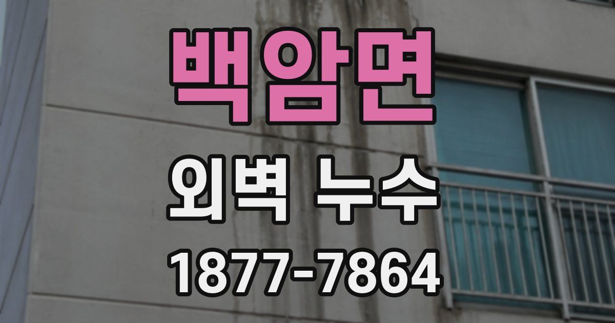 백암면 외벽 누수