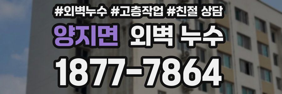 양지면 외벽 누수