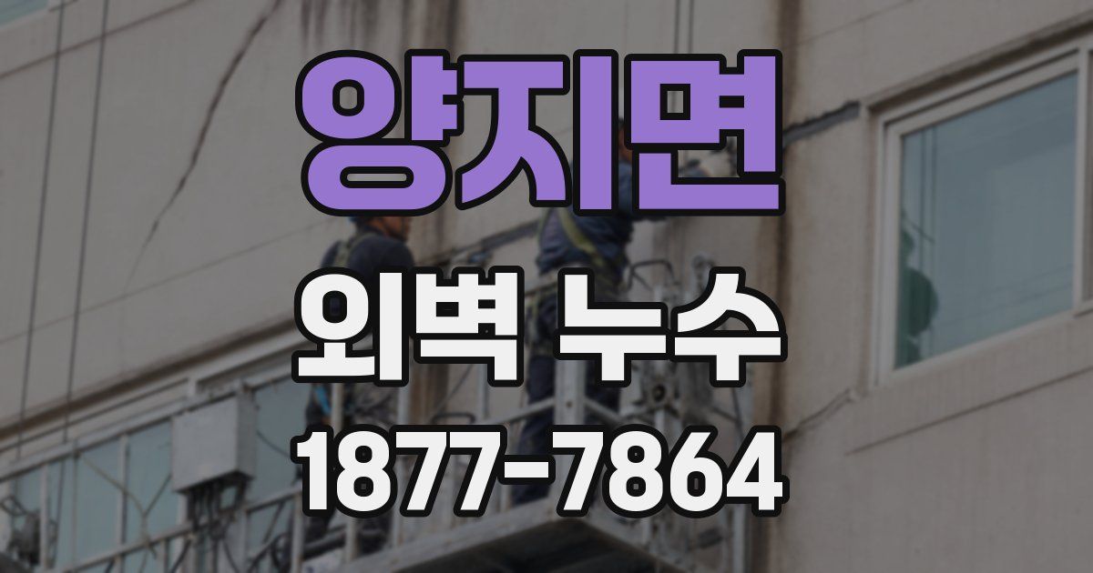양지면 외벽 누수