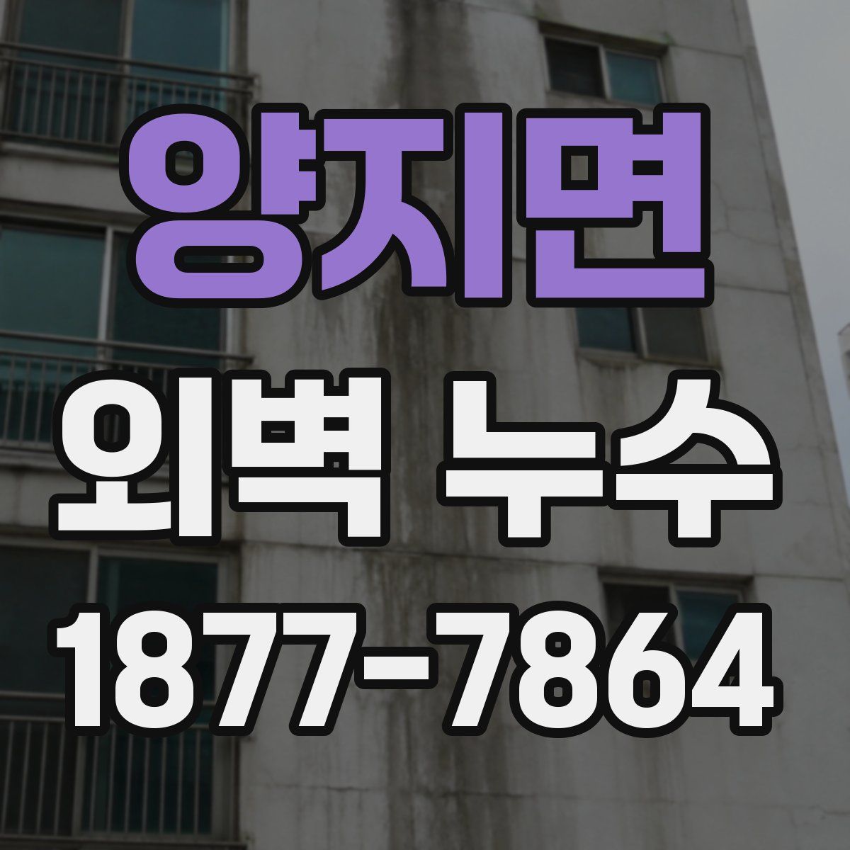 양지면 외벽 누수