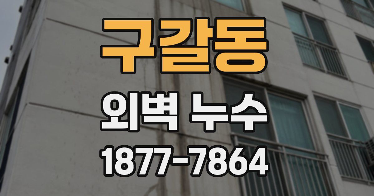 구갈동 외벽 누수