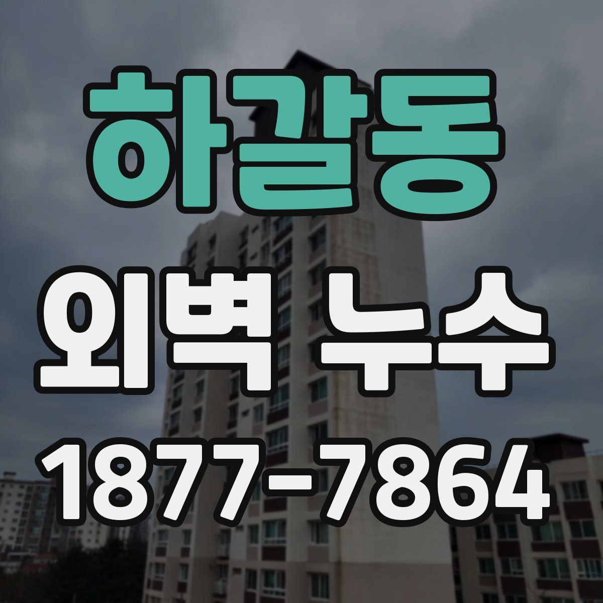 하갈동 외벽 누수