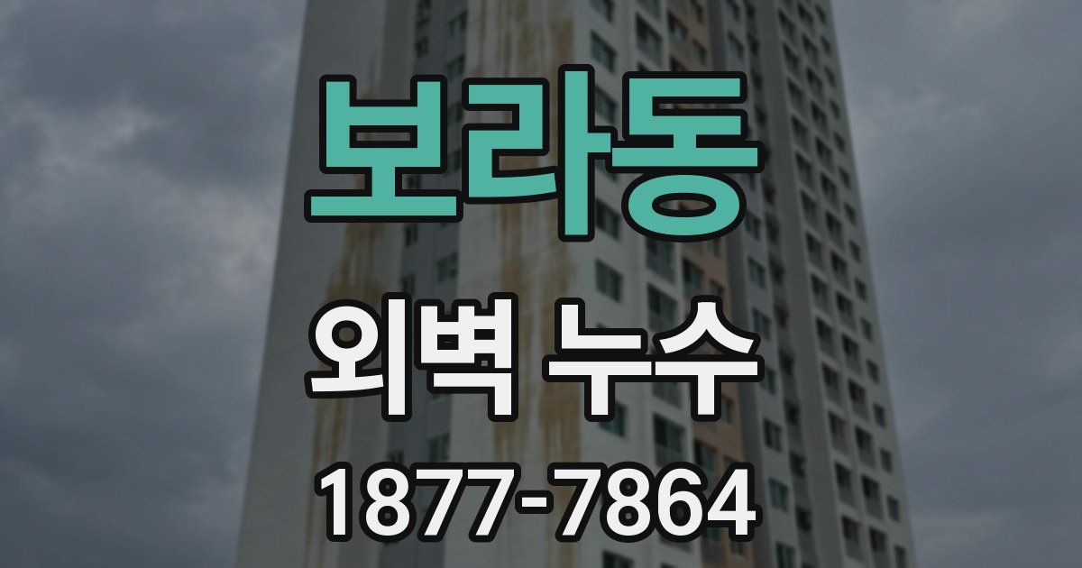 보라동 외벽 누수