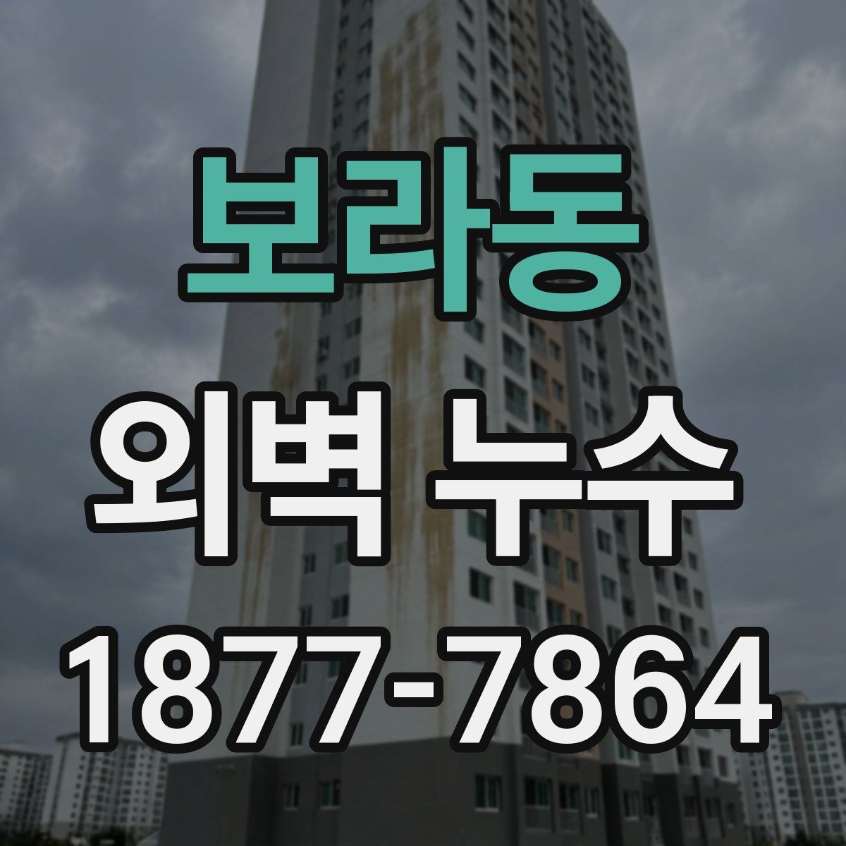 보라동 외벽 누수
