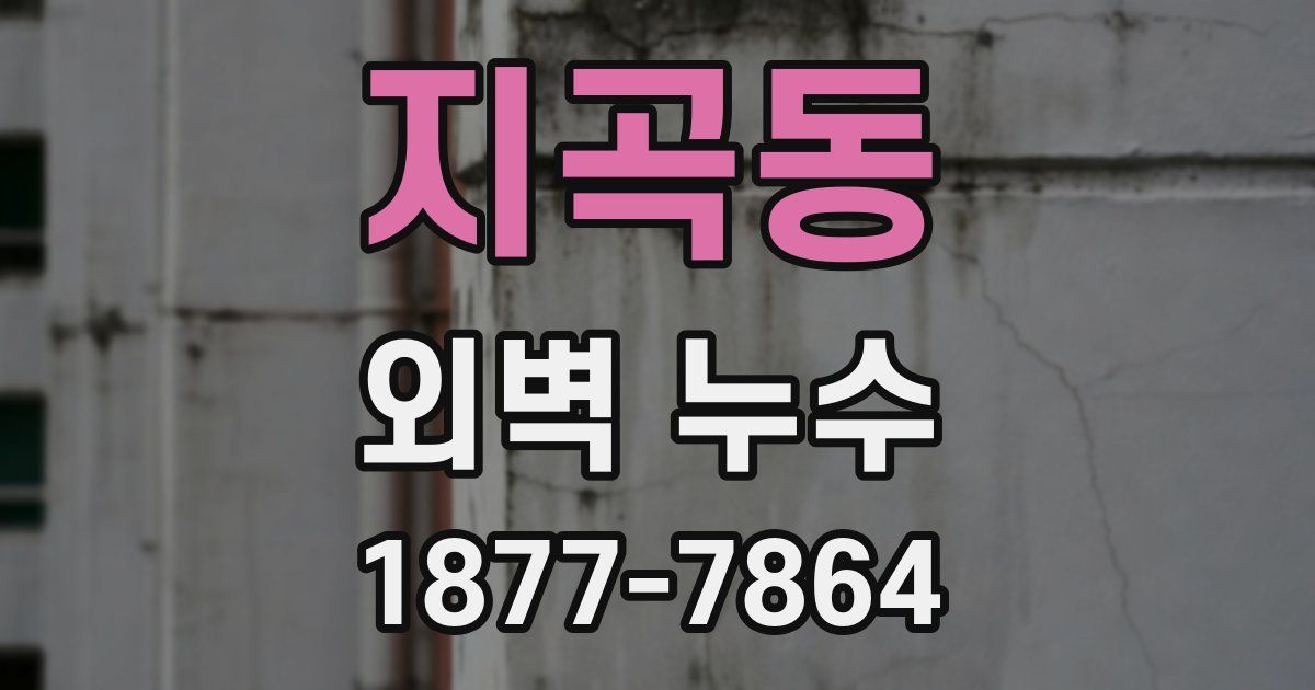 지곡동 외벽 누수