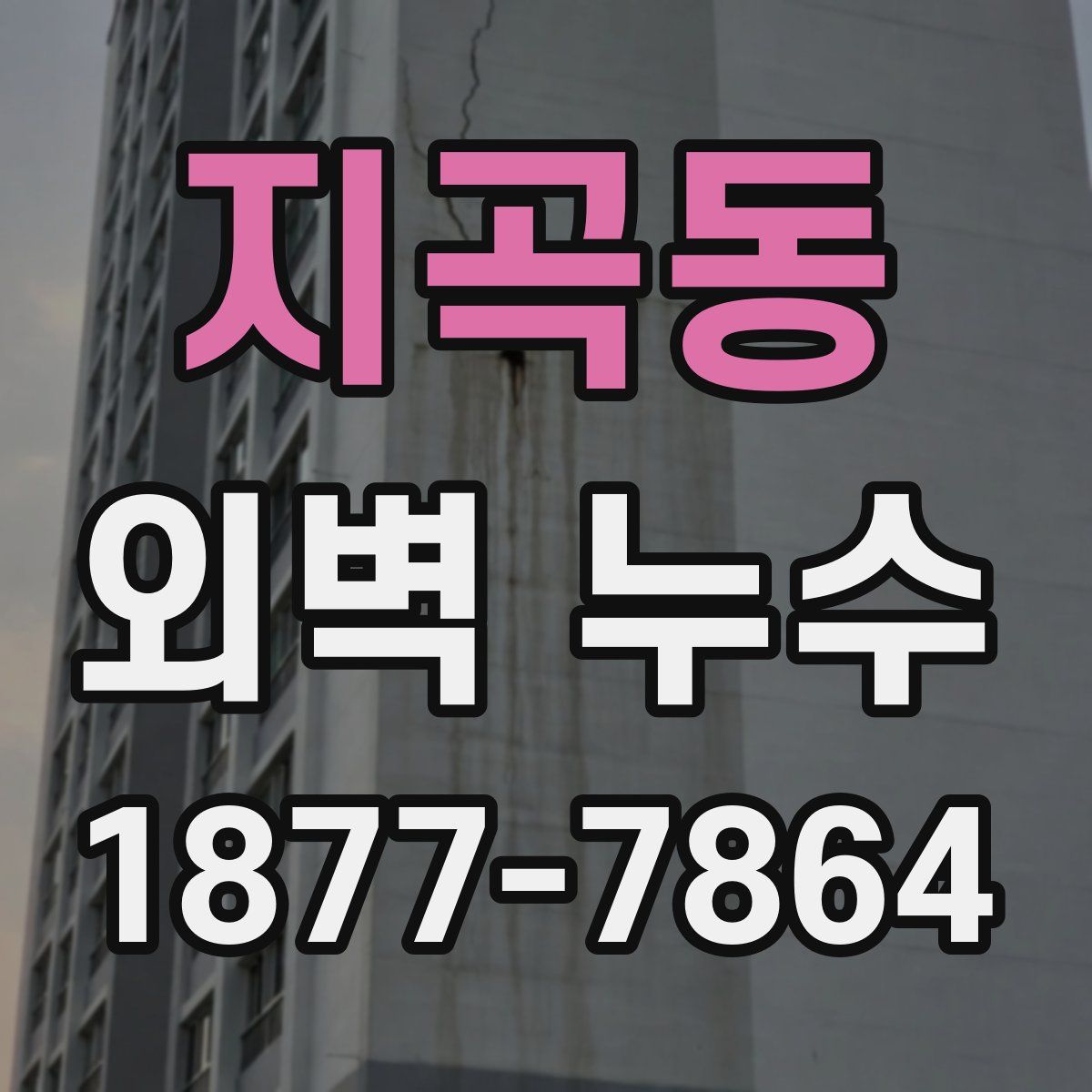 지곡동 외벽 누수