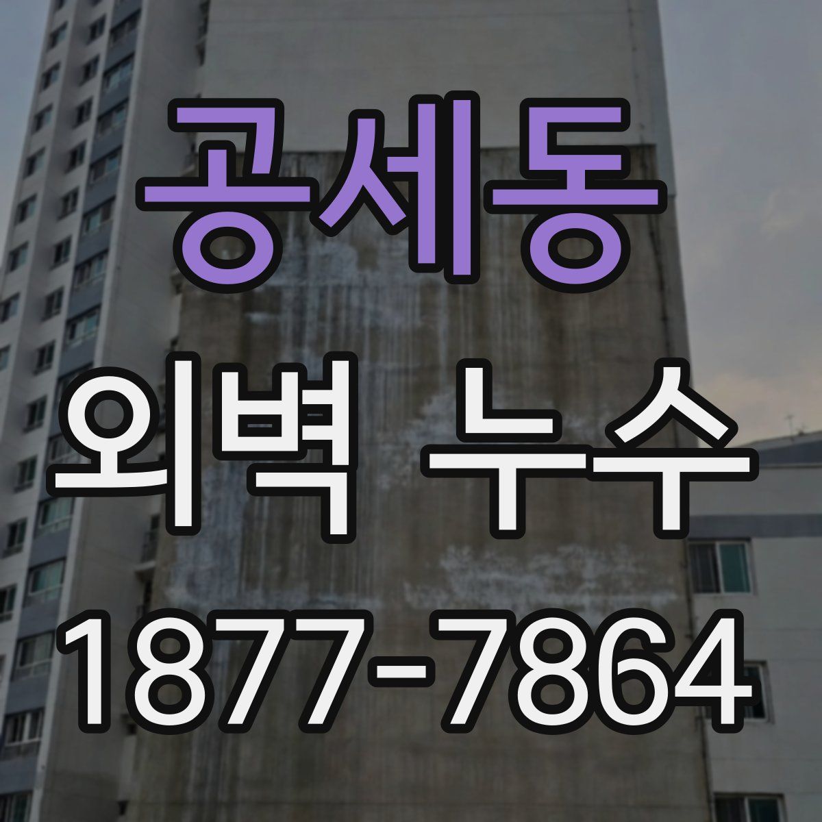 공세동 외벽 누수