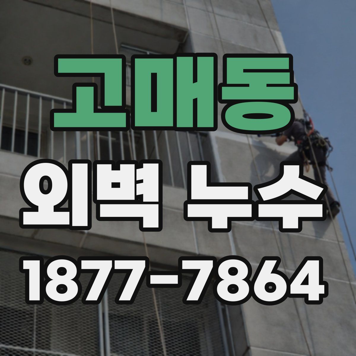 고매동 외벽 누수