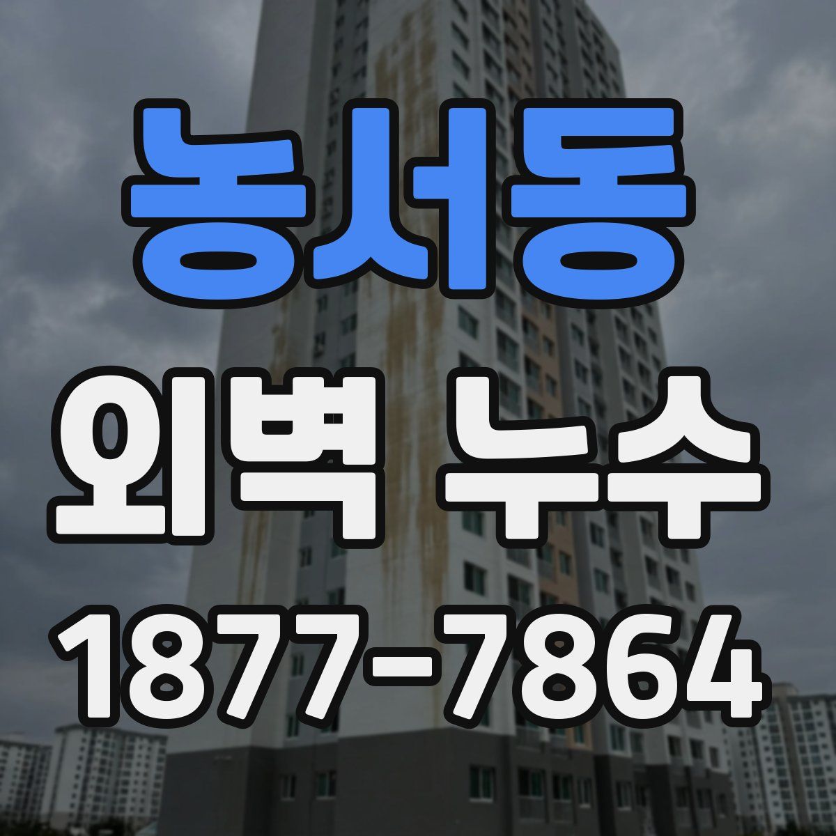 농서동 외벽 누수