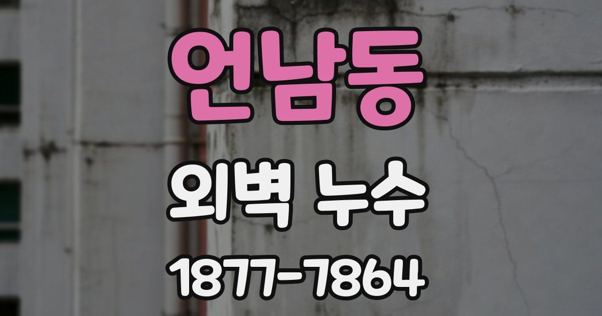 언남동 외벽 누수