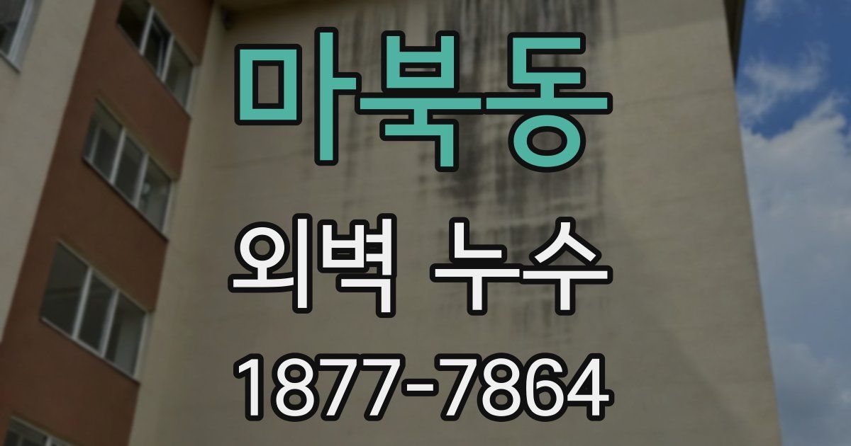마북동 외벽 누수