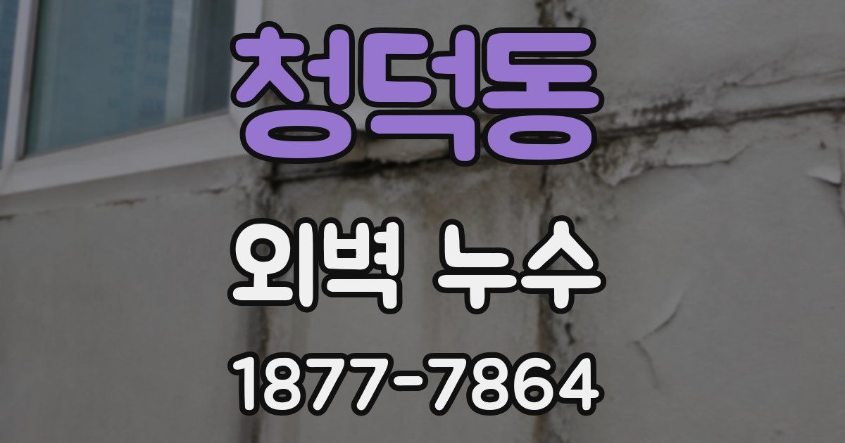 청덕동 외벽 누수