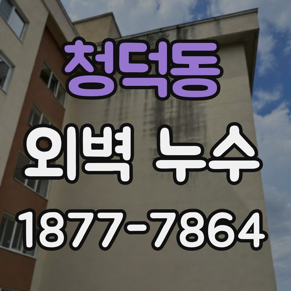 청덕동 외벽 누수