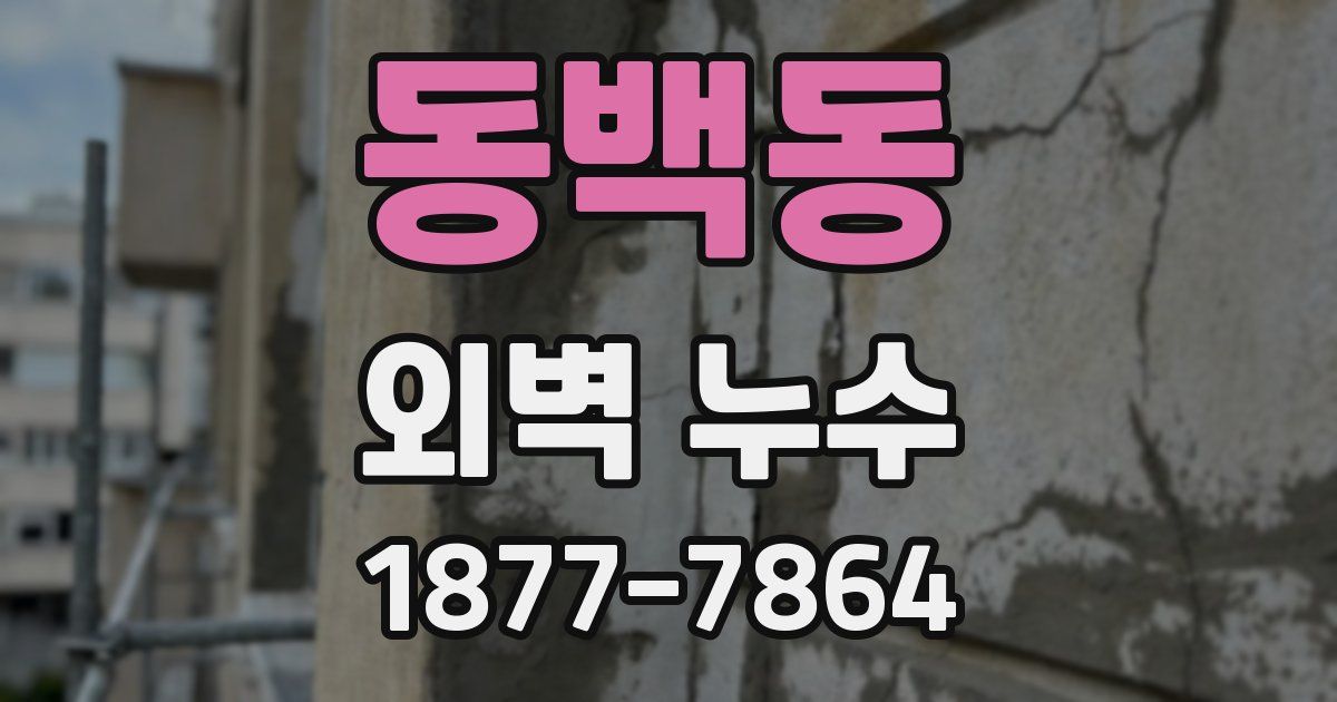 동백동 외벽 누수