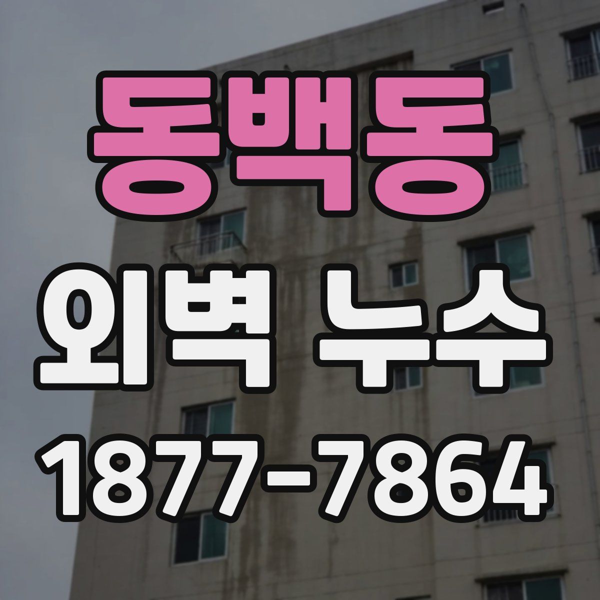 동백동 외벽 누수