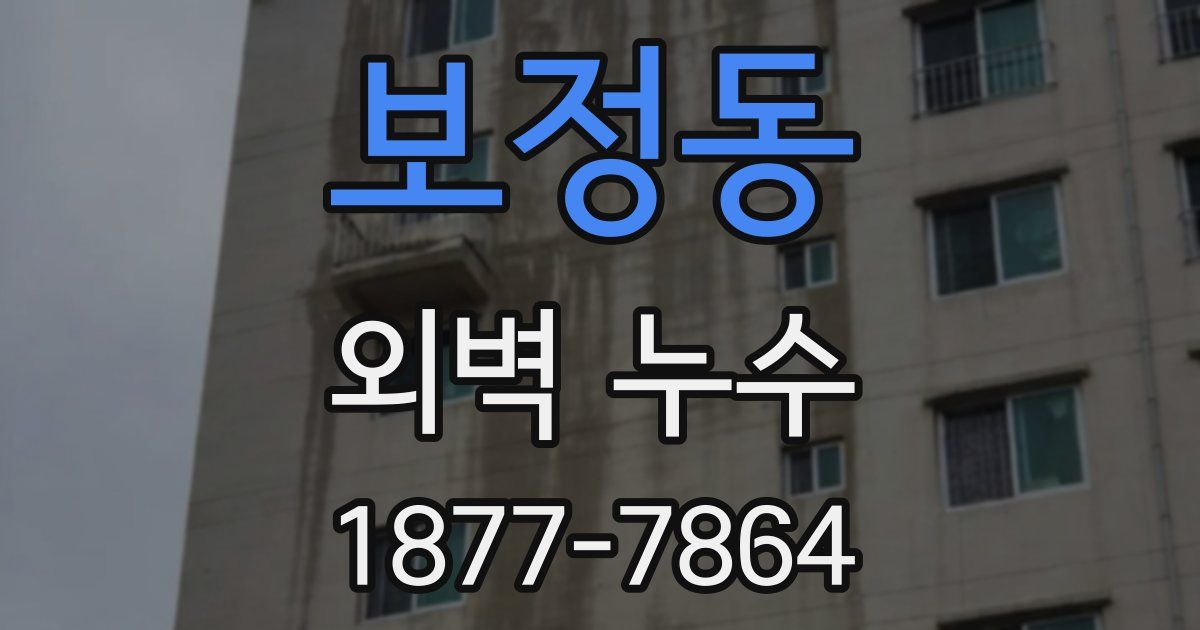 보정동 외벽 누수