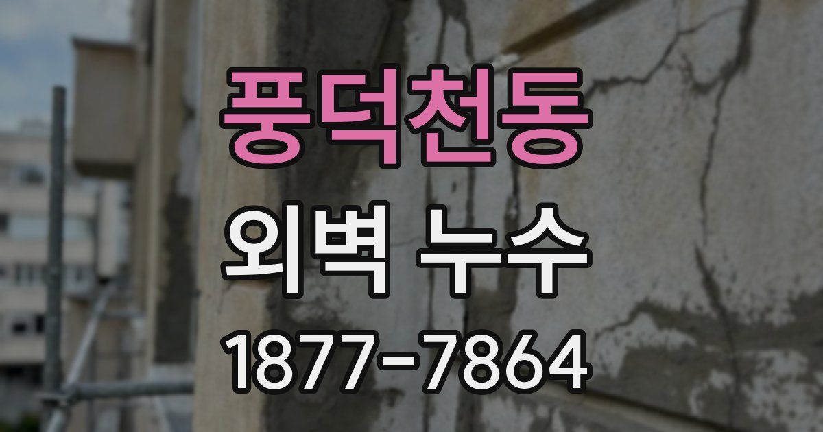 풍덕천동 외벽 누수