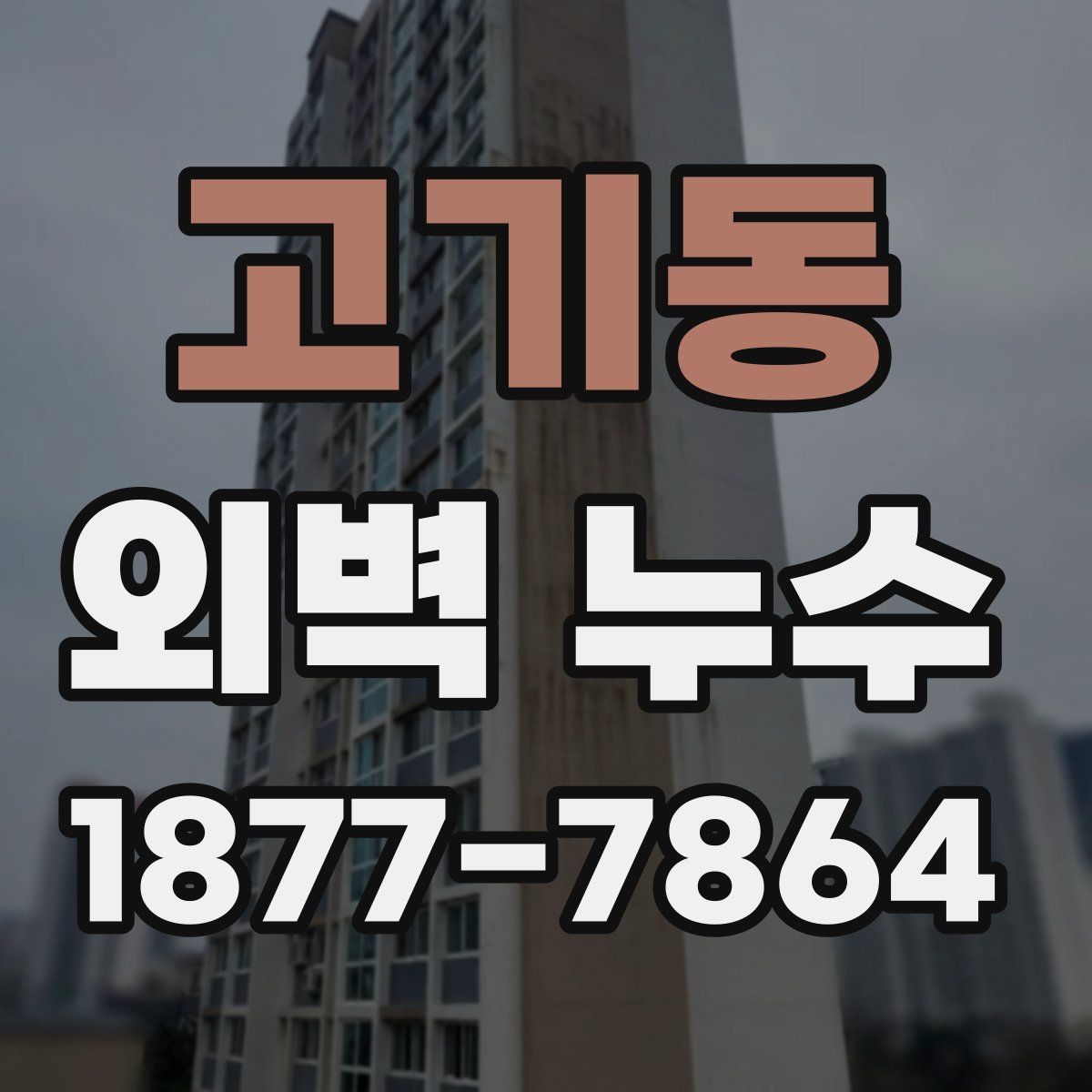 고기동 외벽 누수