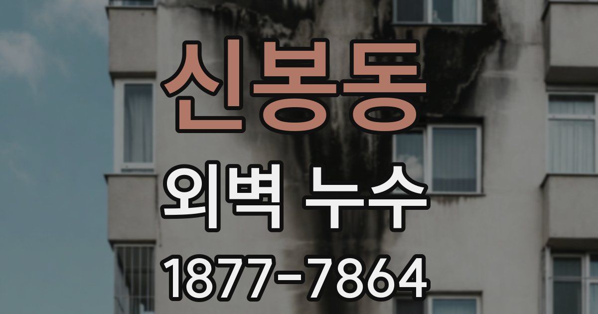 신봉동 외벽 누수