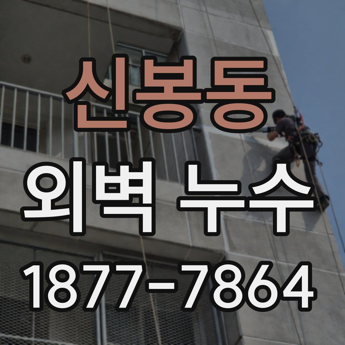신봉동 외벽 누수