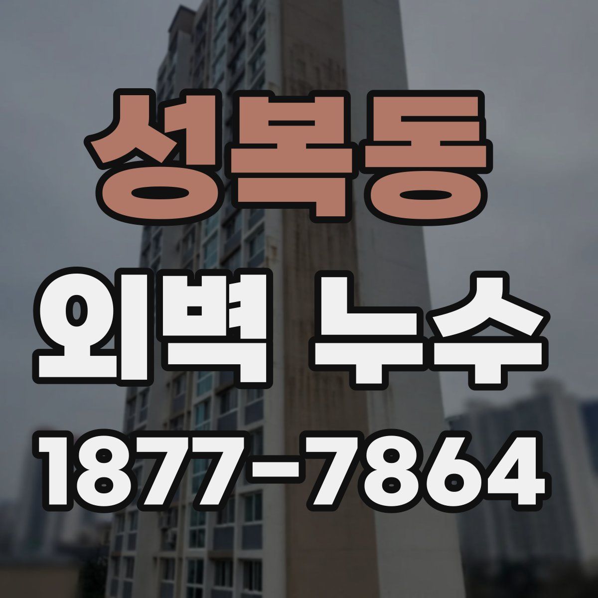 성복동 외벽 누수