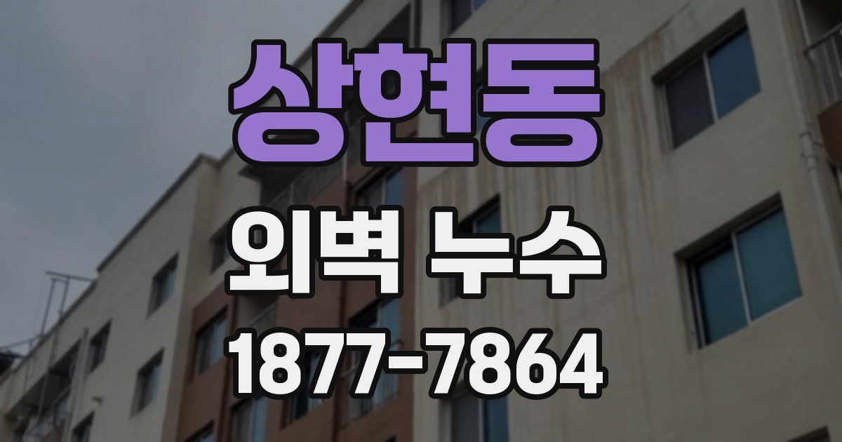 상현동 외벽 누수