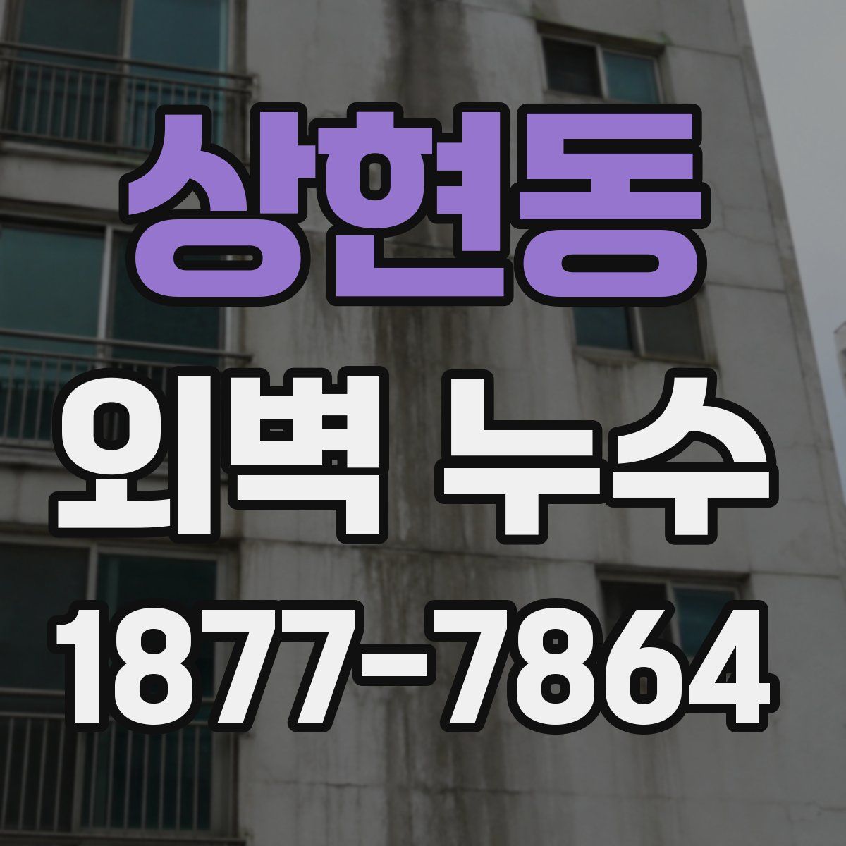상현동 외벽 누수