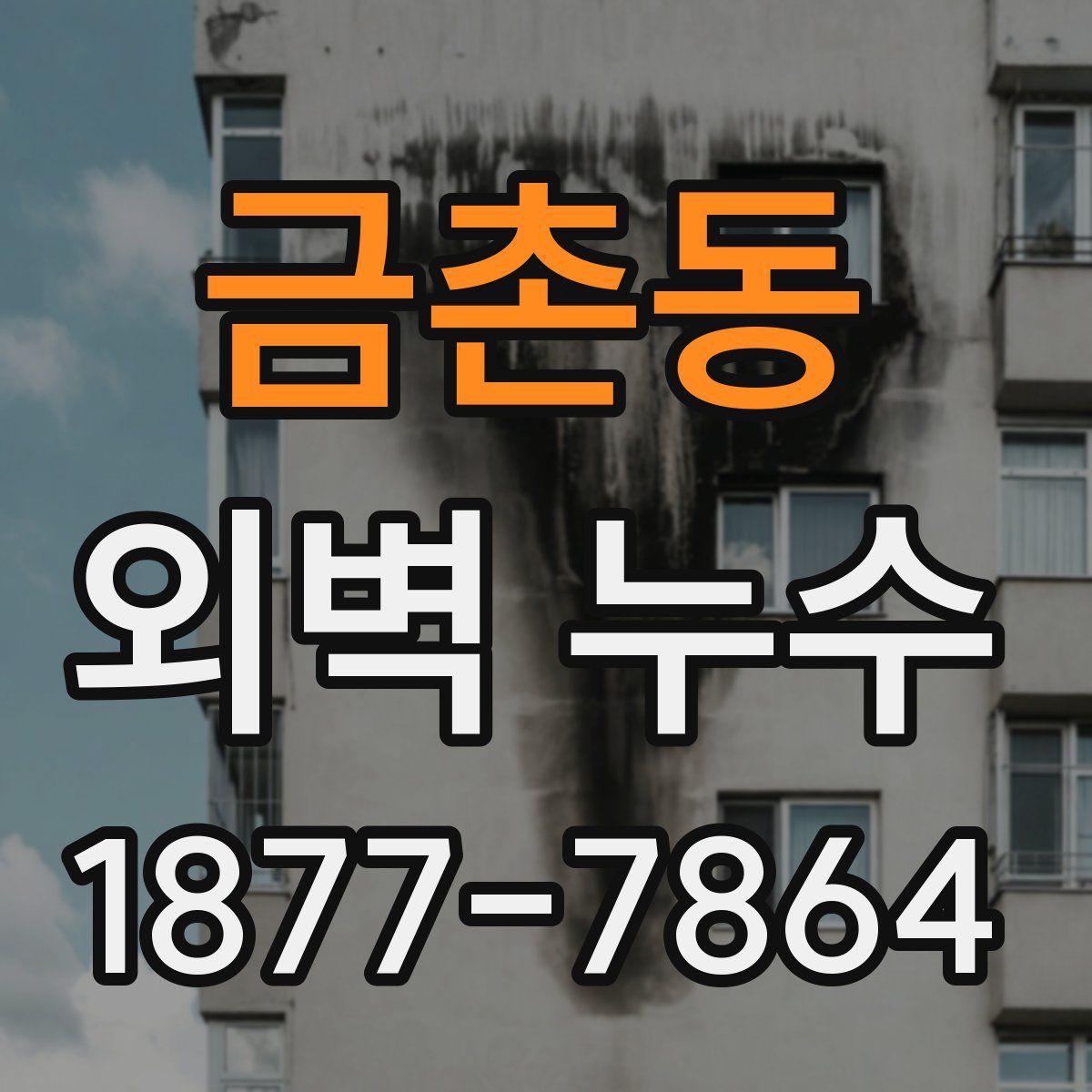 금촌동 외벽 누수