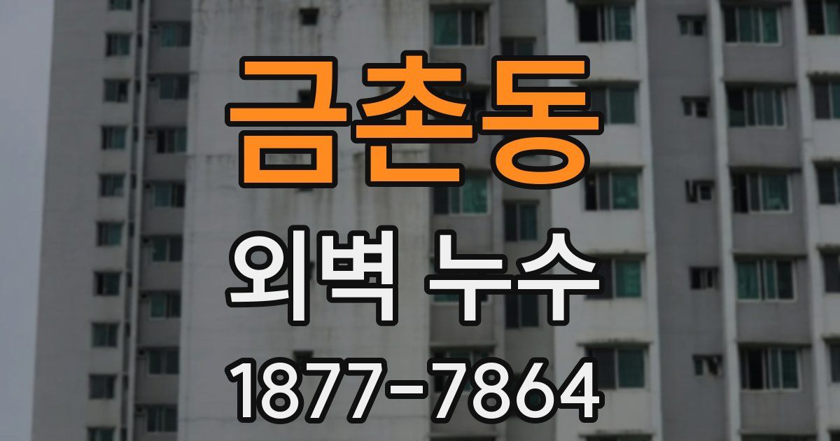 금촌동 외벽 누수