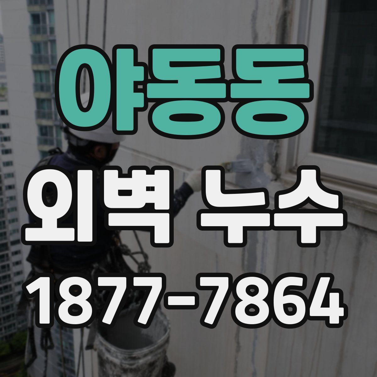 야동동 외벽 누수