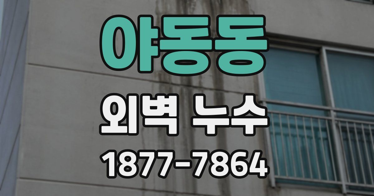 야동동 외벽 누수