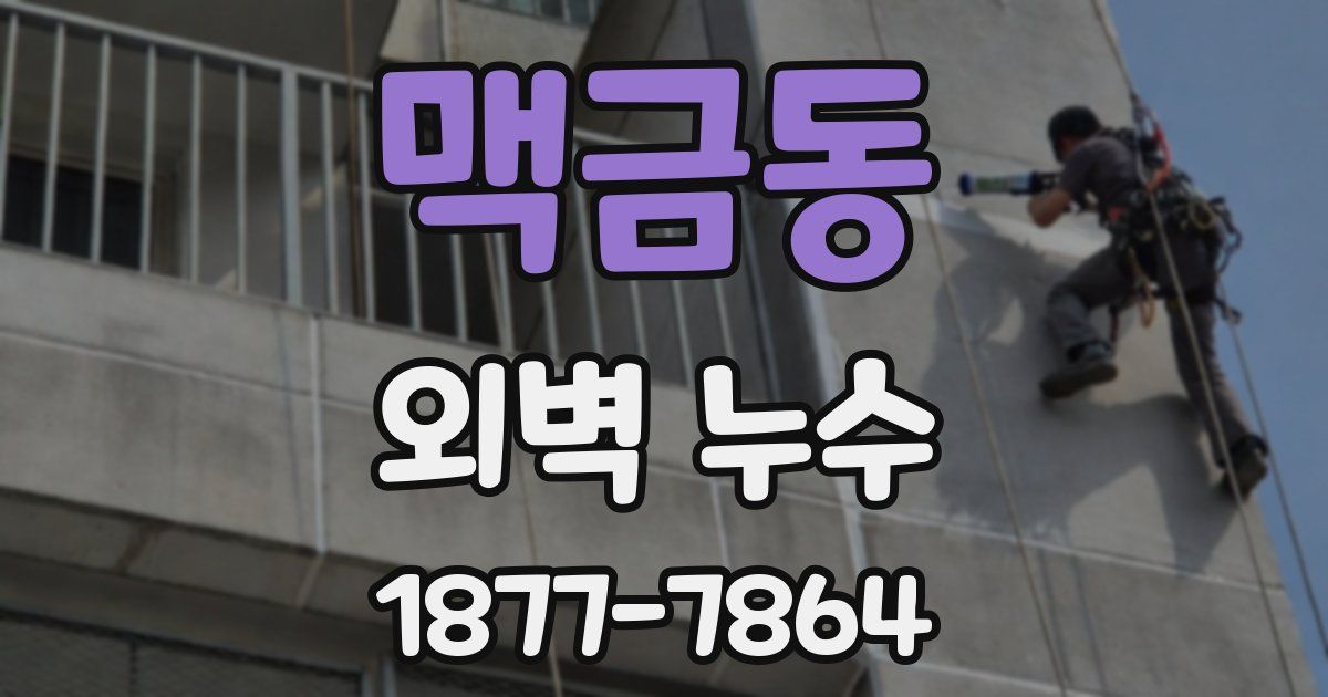 맥금동 외벽 누수