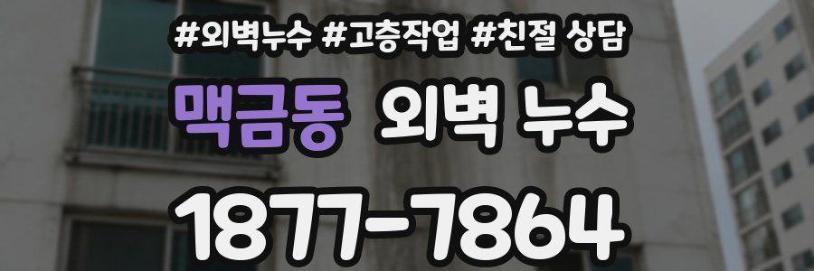 맥금동 외벽 누수