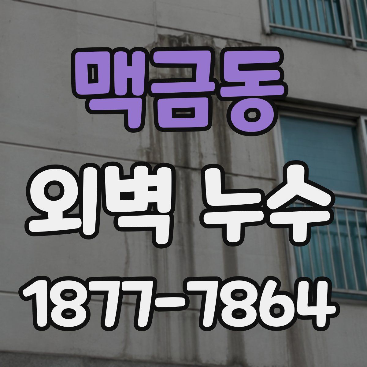 맥금동 외벽 누수