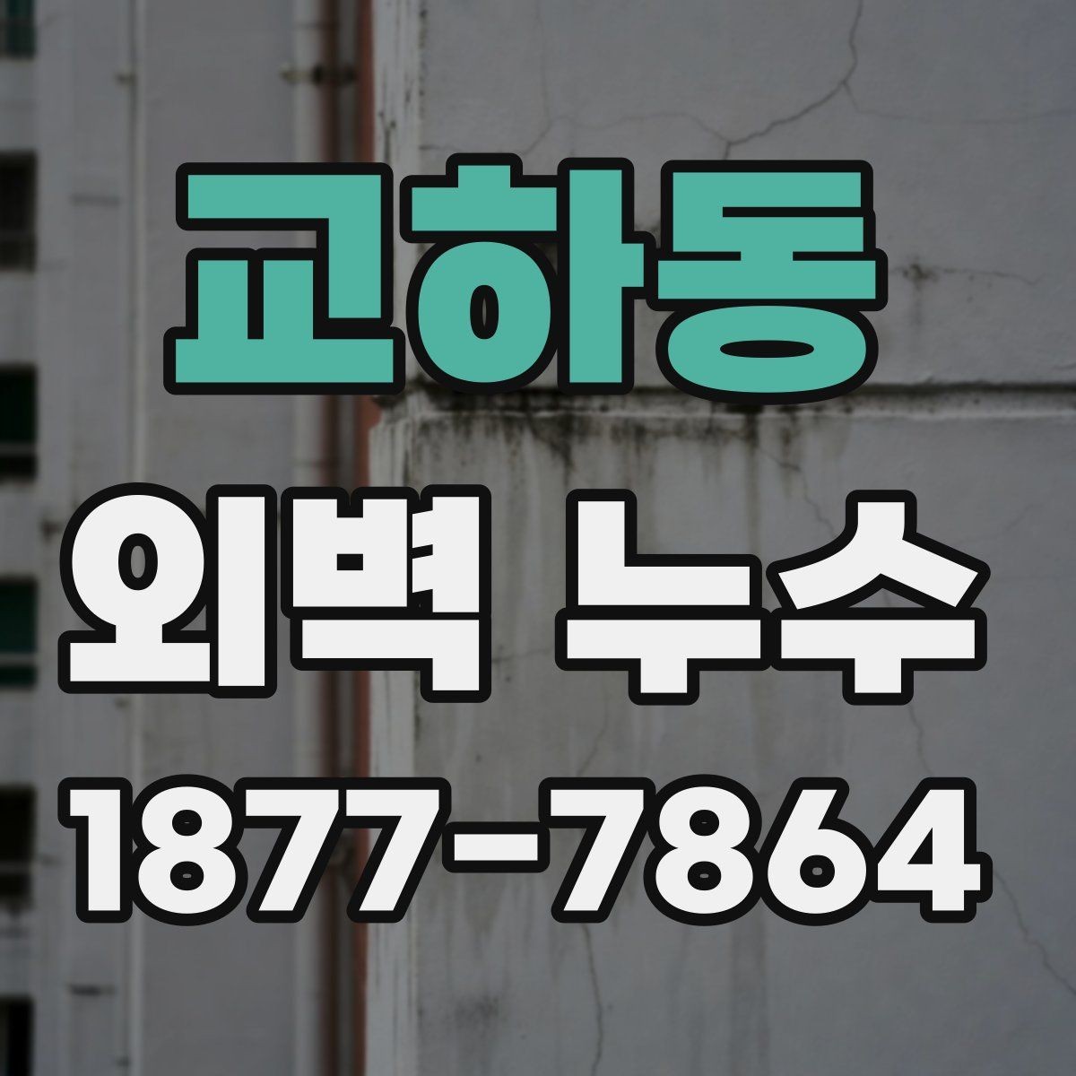교하동 외벽 누수 확인 후 바로 할 일