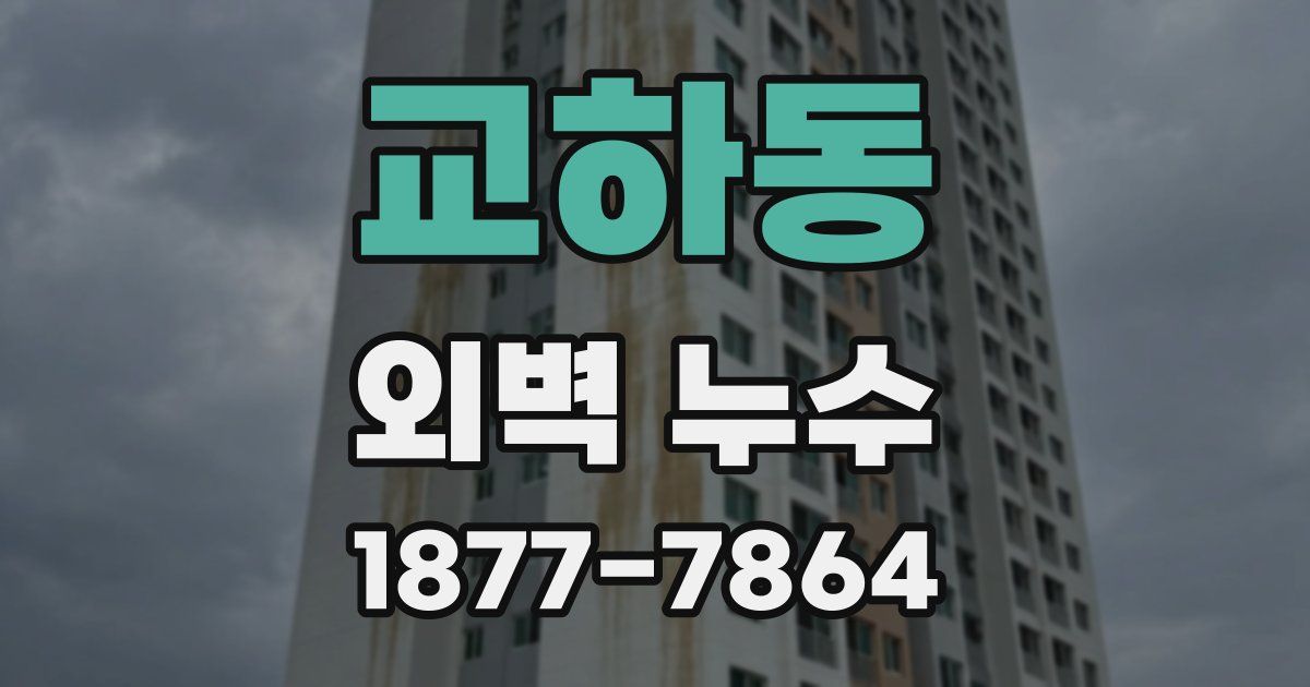 교하동 외벽 누수