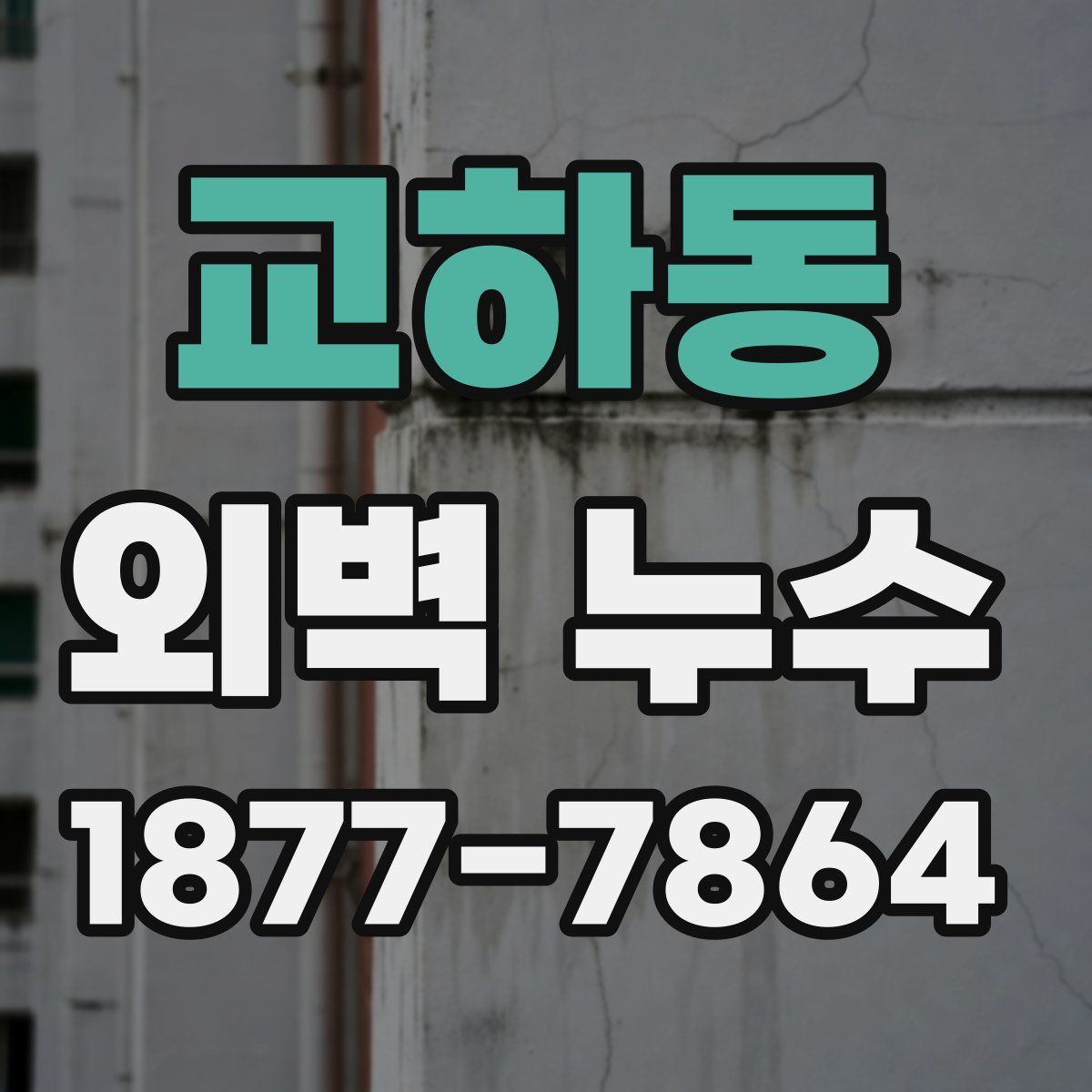 교하동 외벽 누수