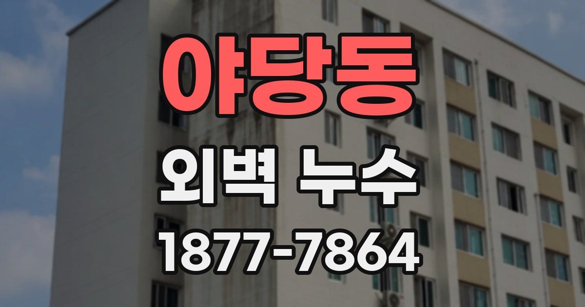 야당동 외벽 누수