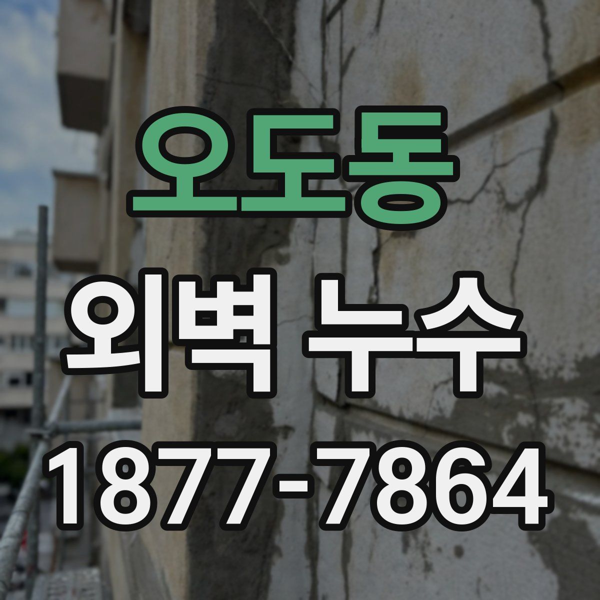 오도동 외벽 누수