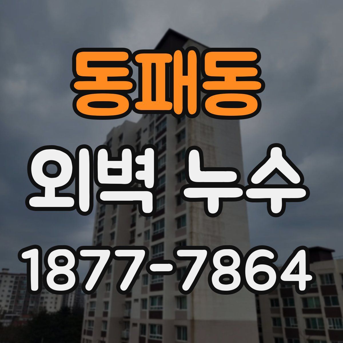 동패동 외벽 누수