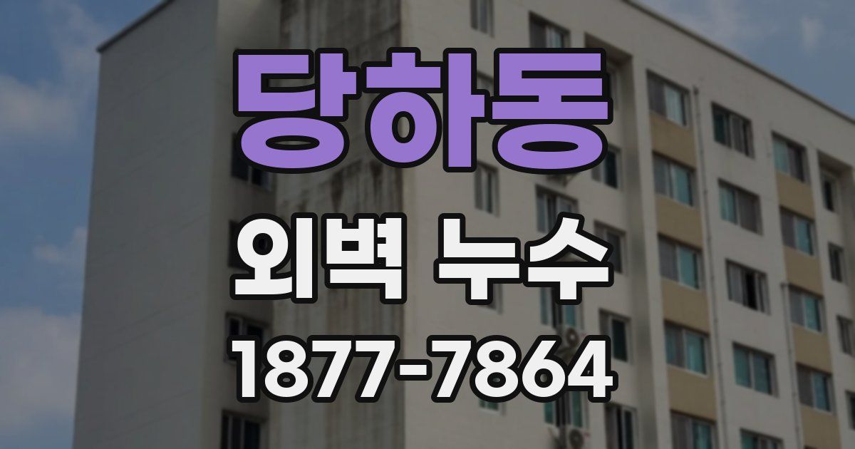 당하동 외벽 누수