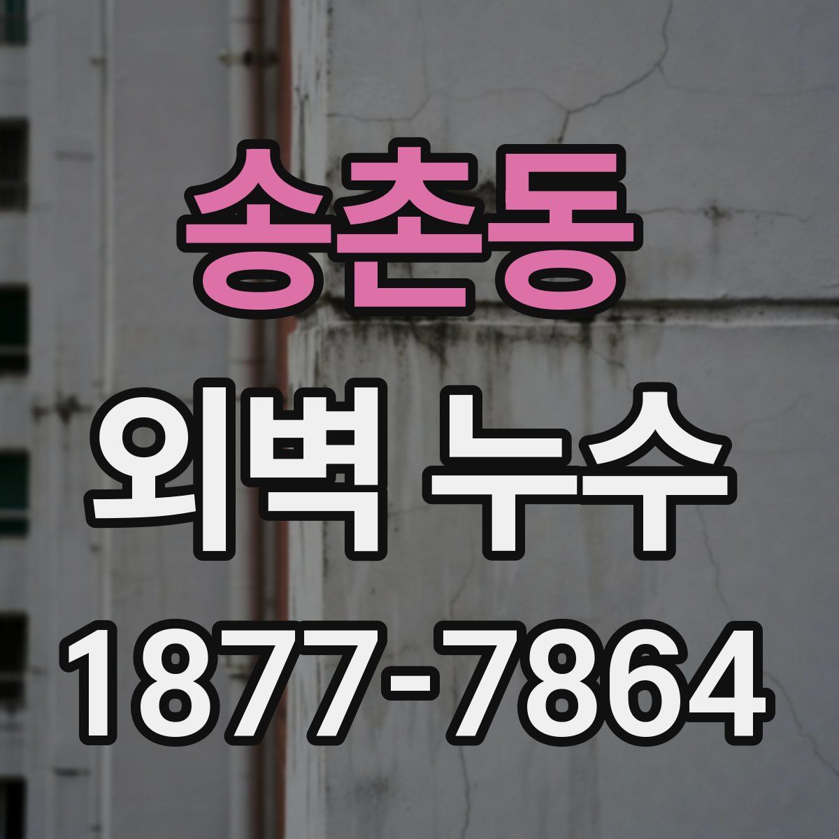 송촌동 외벽 누수