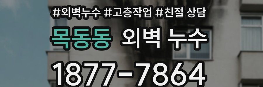 목동동 외벽 누수
