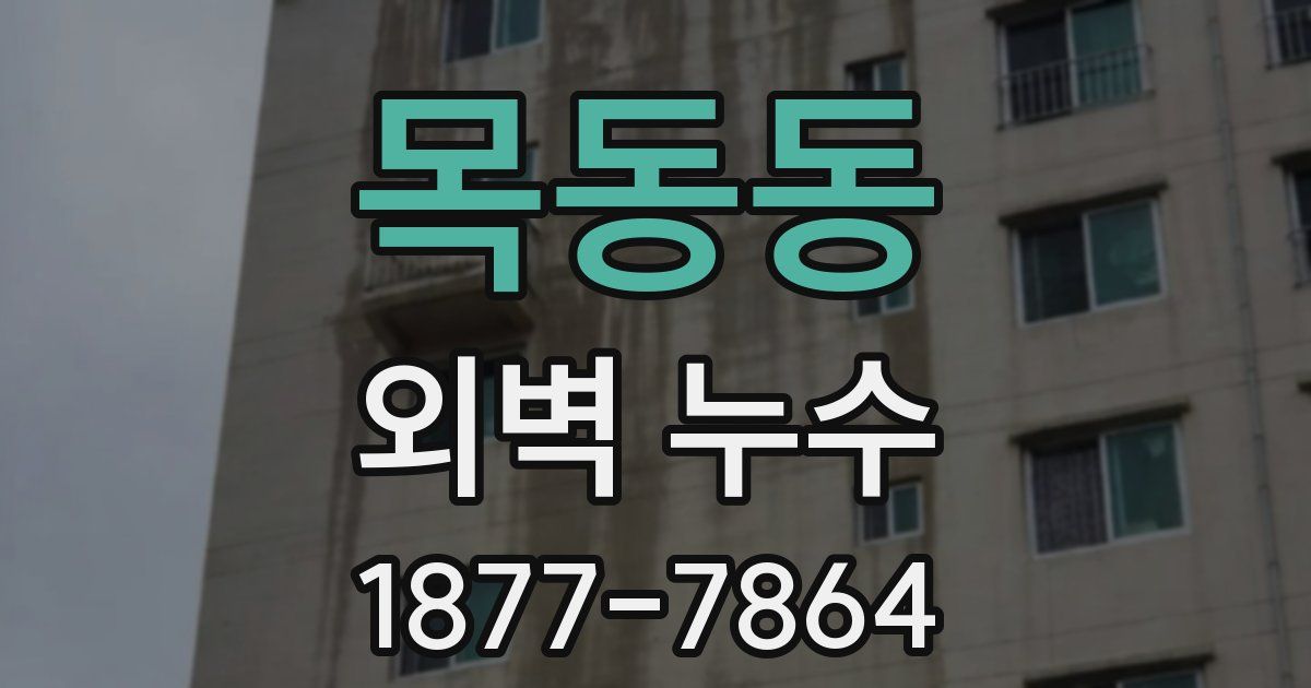 목동동 외벽 누수
