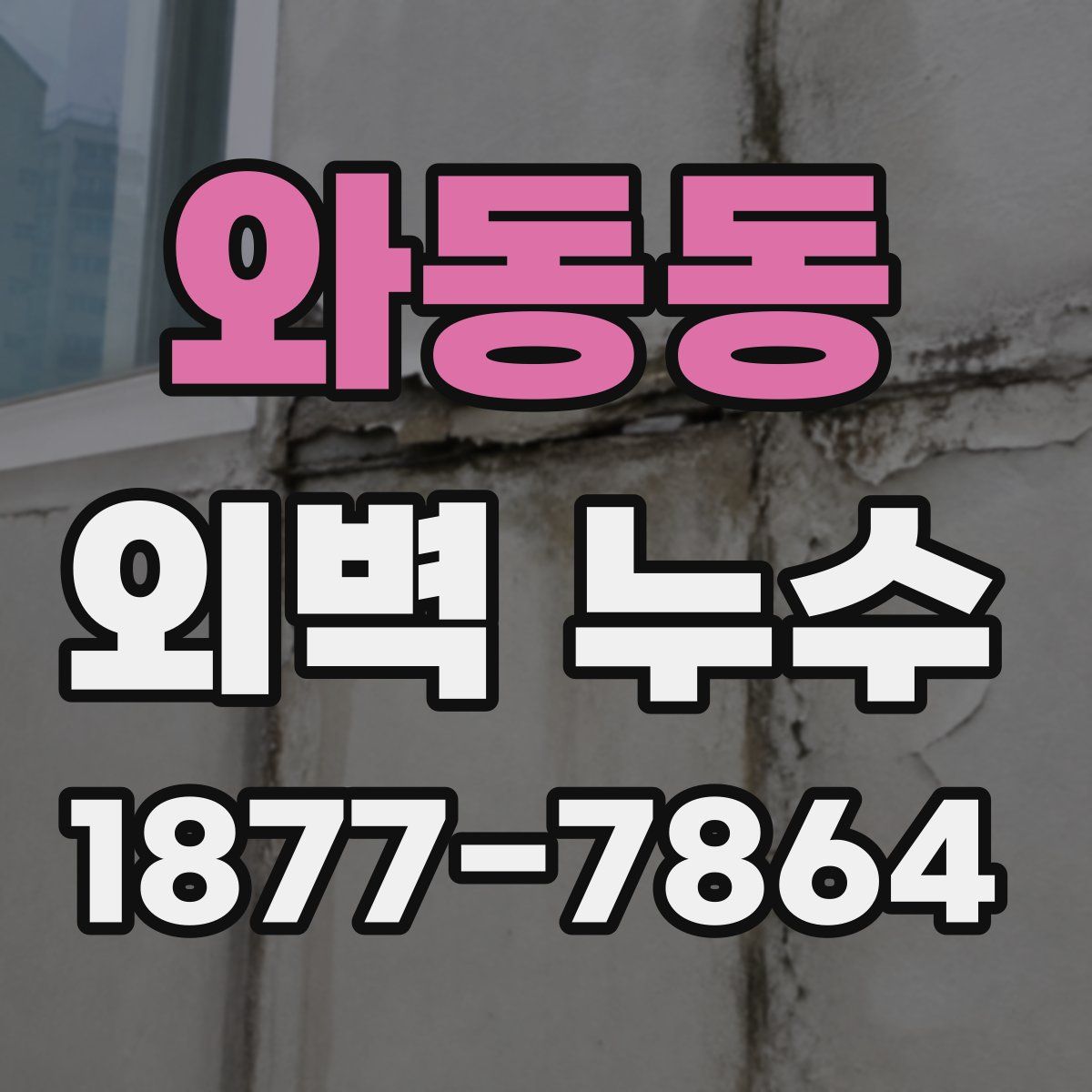 와동동 외벽 누수